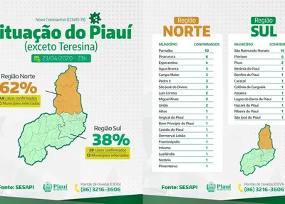 Porcentagem de casos no interior do Piauí
