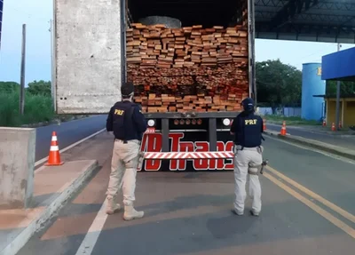 Madeira apreendida na BR 230, em Floriano