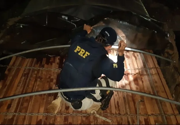 PRF apreende carga ilegal de madeira na BR 343