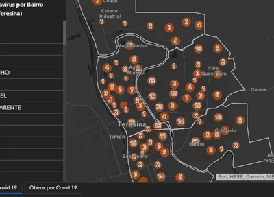 Dados do painel de monitoramento da Prefeitura Municipal de Teresina