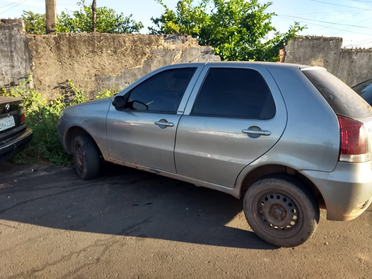Palio foi localizado em Teresina
