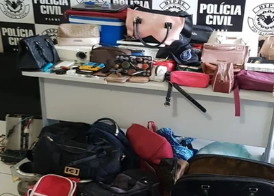 Material apreendido pela Polícia Civil 