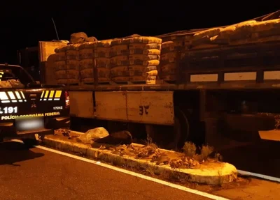 Caminhoneiro é apreendido com drogas em Parnaíba