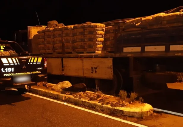 Caminhoneiro é apreendido com drogas em Parnaíba