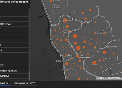 Dados do painel de monitoramento da Prefeitura Municipal de Teresina