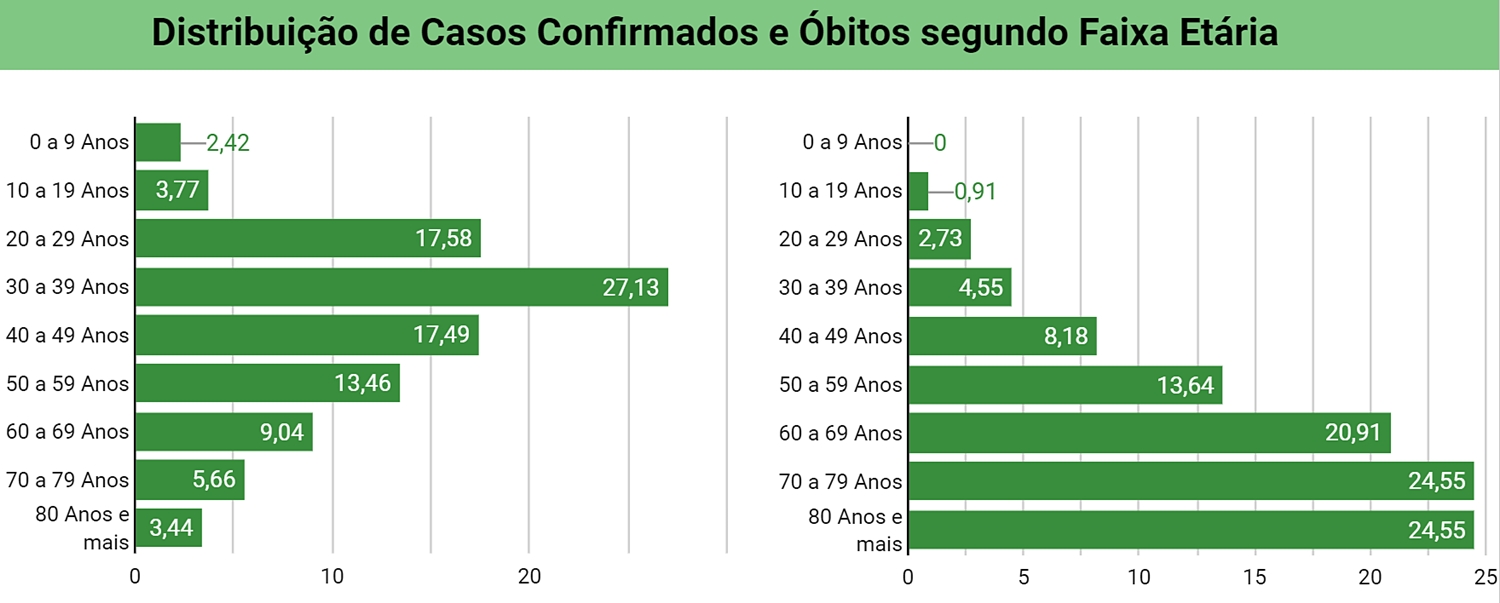 Gráfico com porcentagem de idosos que morreram com covid-19