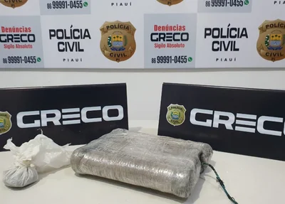Material apreendido pelo Greco