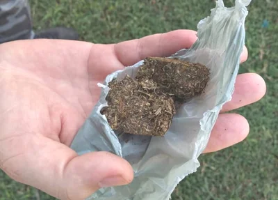 Adolescente de 17 anos é flagrado com trouxa de maconha em União