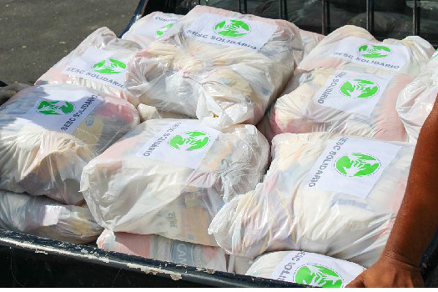 Cestas de alimentos 