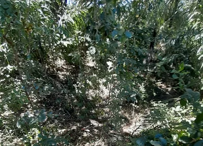 Local em que o corpo encontrado por moradores da região