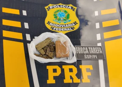 Material apreendido na ação policial