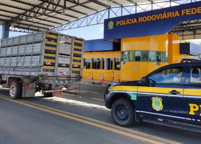 PRF prende idoso com veículo de carga roubado na BR 343