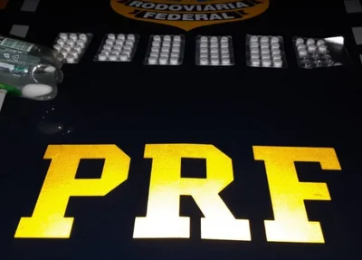 Polícia Rodoviária Federal apreende rebite