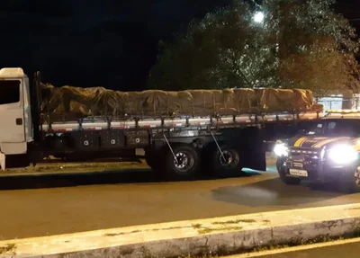 Caminhoneiro é flagrado com CNH de outra pessoa na BR 343