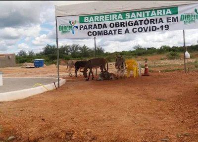 Barreira sanitária em Dirceu Arcoverde
