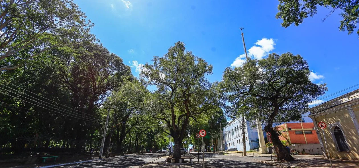 Strans interdita Rua Coelho Rodrigues 