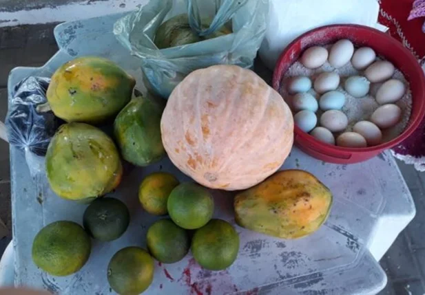 Programa de Aquisição de Alimentos beneficia 400 famílias em dez municípios do Piauí
