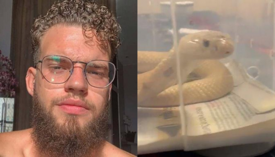 Estudante de veterinária e a naja