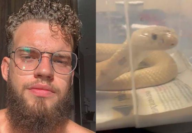 Estudante de veterinária e a naja