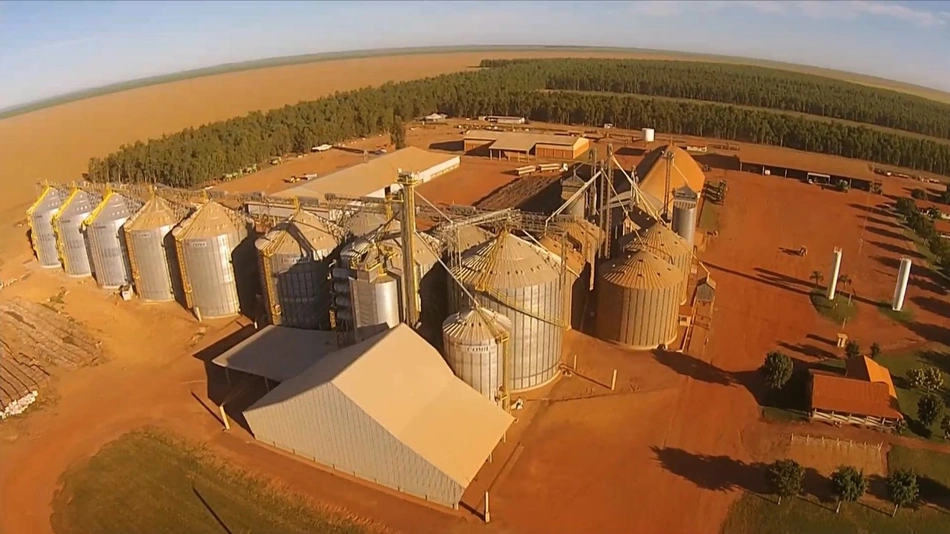Produção de grãos no sul do Piauí