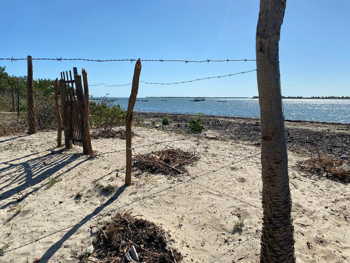 Cajueiro da Praia