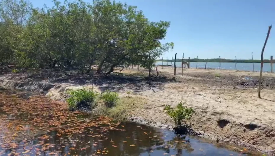 Moradores denunciaram situação em Cajueiro da Praia