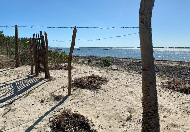 Área de preservação em Cajueiro da Praia é cercada para venda