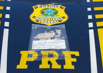 Droga apreendida pela PRF na BR 316
