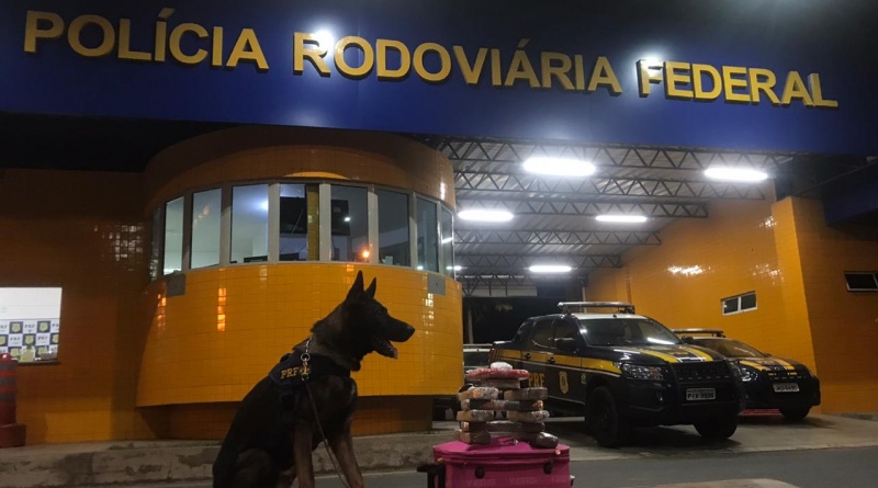 Droga avaliada em R$ 145 mil foi apreendida na BR 230