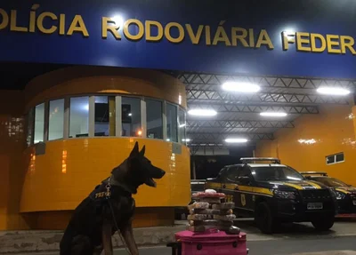 Droga avaliada em R$ 145 mil foi apreendida na BR 230