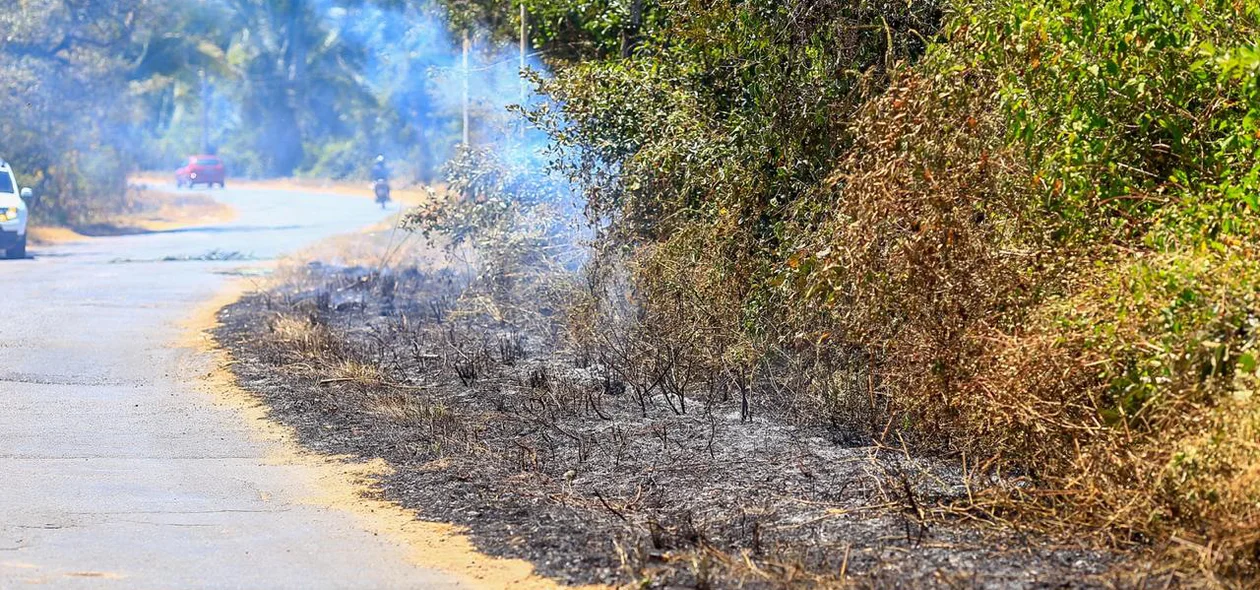 Fogo atingiu a vegetação