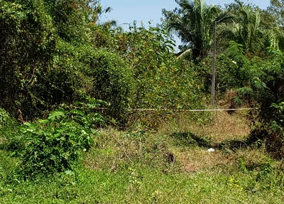 Corpo é encontrado em estado de composição no bairro Ininga