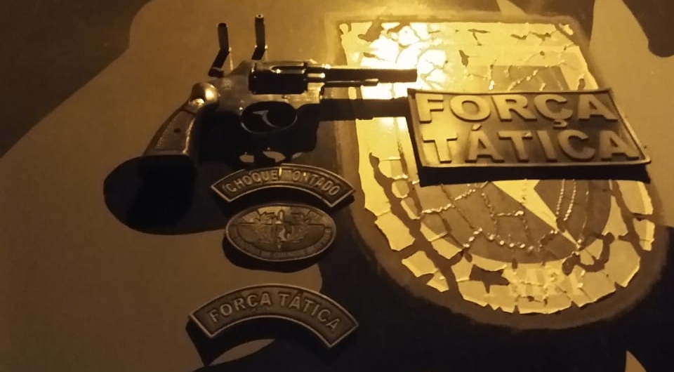 Força Tática de Valença do Piauí apreende arma