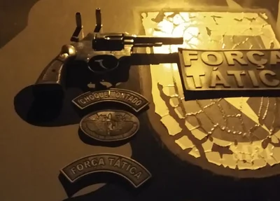 Força Tática de Valença do Piauí apreende arma
