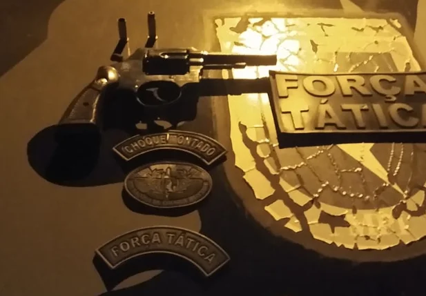 Força Tática de Valença do Piauí apreende arma