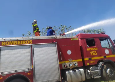 Voluntários e Corpo de Bombeiros tentam conter as chamas