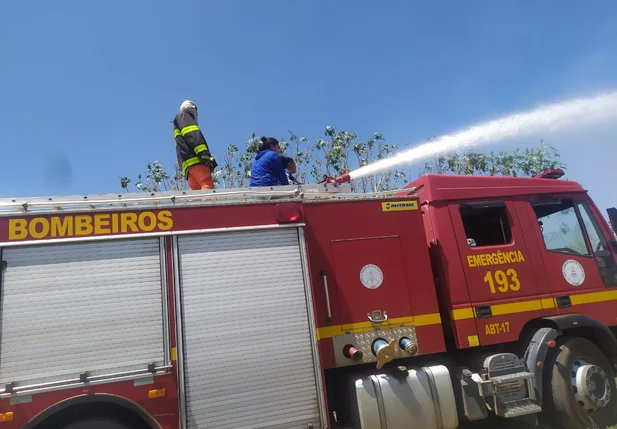Voluntários e Corpo de Bombeiros tentam conter as chamas