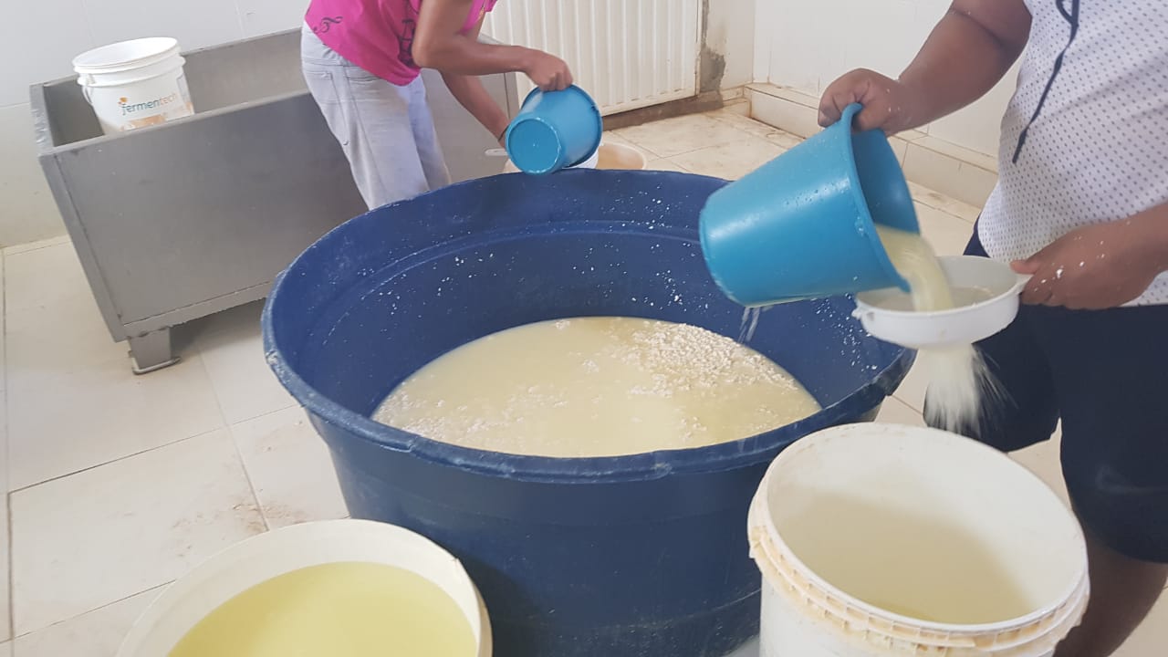 Queijo era produzido em local impróprio
