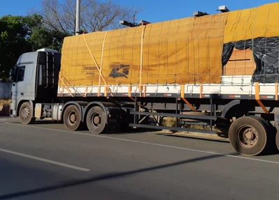 Madeira avaliada em R$ 18.533 apreendida