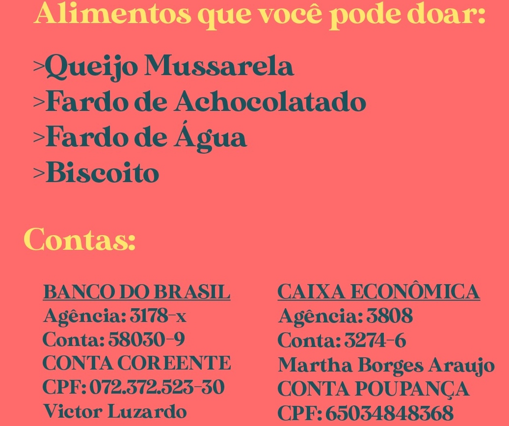 Alimentos que os estudantes estão arrecadando 