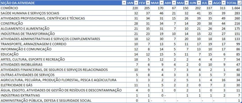Principais atividades econômicas abertas nos primeiros oito meses de 2020