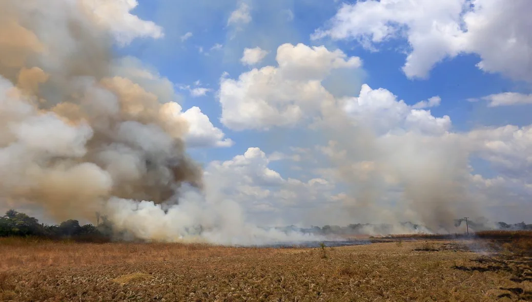 Fogo atinge fazenda na zona norte da capital