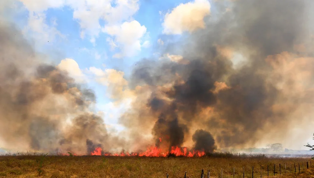 Fogo destrói vegetação em fazenda em Teresina 