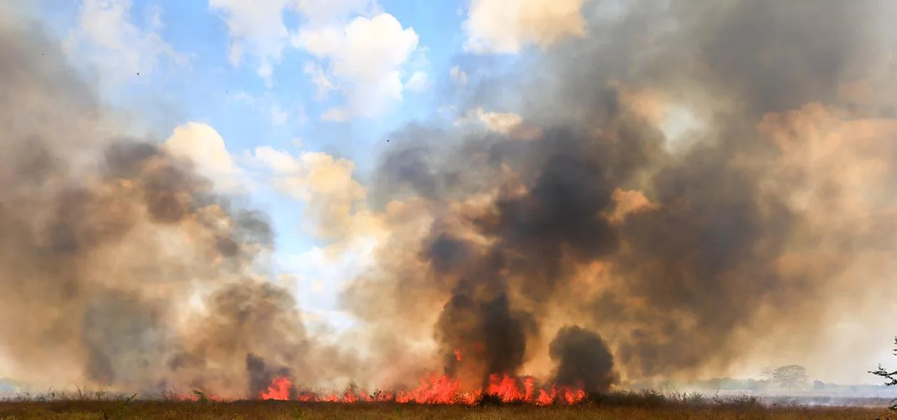 Fogo destrói vegetação em fazenda em Teresina 