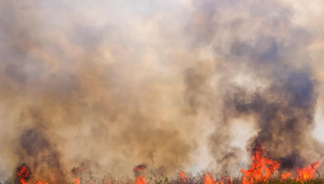 Incêndio atinge fazenda na zona norte de Teresina 