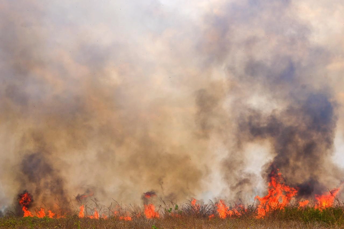 Incêndio atinge fazenda na zona norte de Teresina 