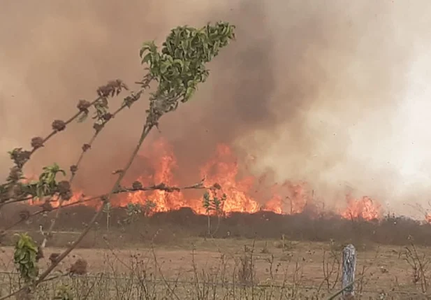 Incêndio em fazenda na zona norte de Teresina