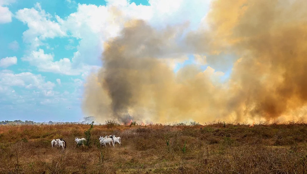 Incêndio em Teresina