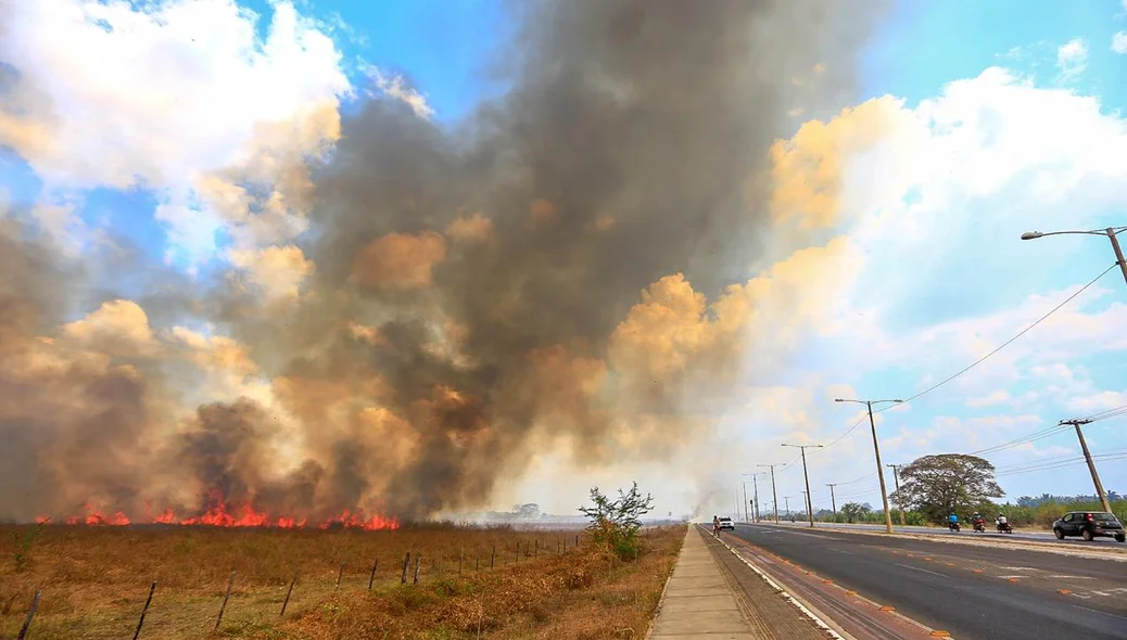 O fato aconteceu em uma fazenda na zona norte de Teresina