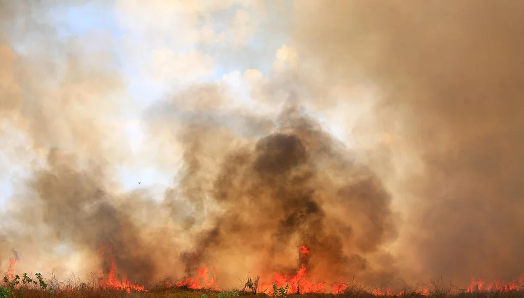 O incêndio já atingiu cerca de 2 hectares de terra 
